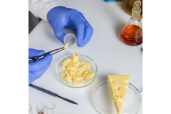 A person in gloves holding a container with food in it